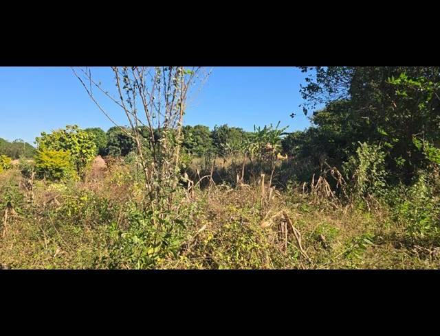 LAND FOR SALE IN MULEDANE